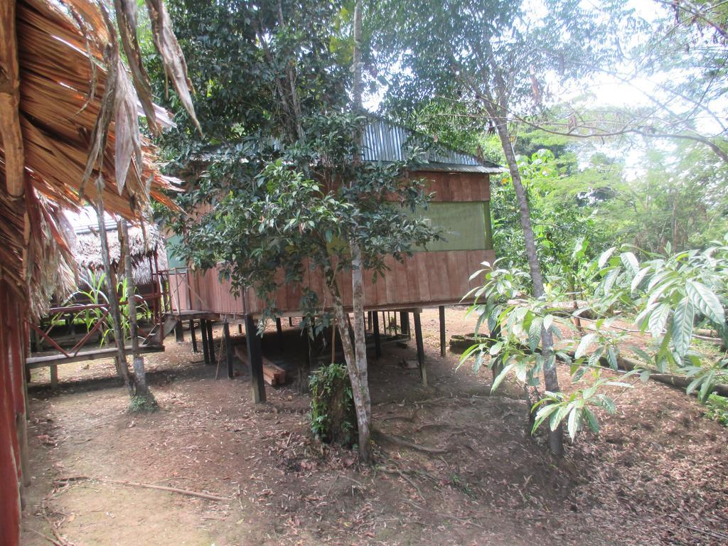 Amazon Queen Lodge Mazán Εξωτερικό φωτογραφία