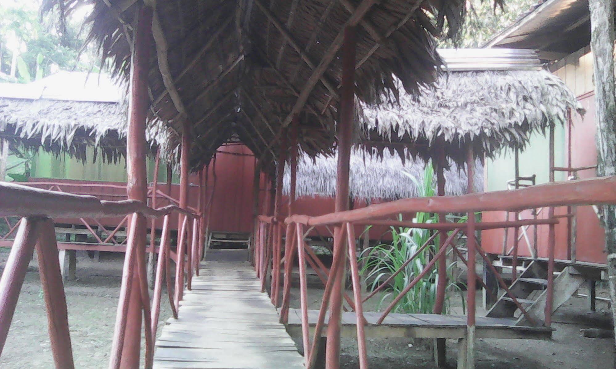 Amazon Queen Lodge Mazán Εξωτερικό φωτογραφία
