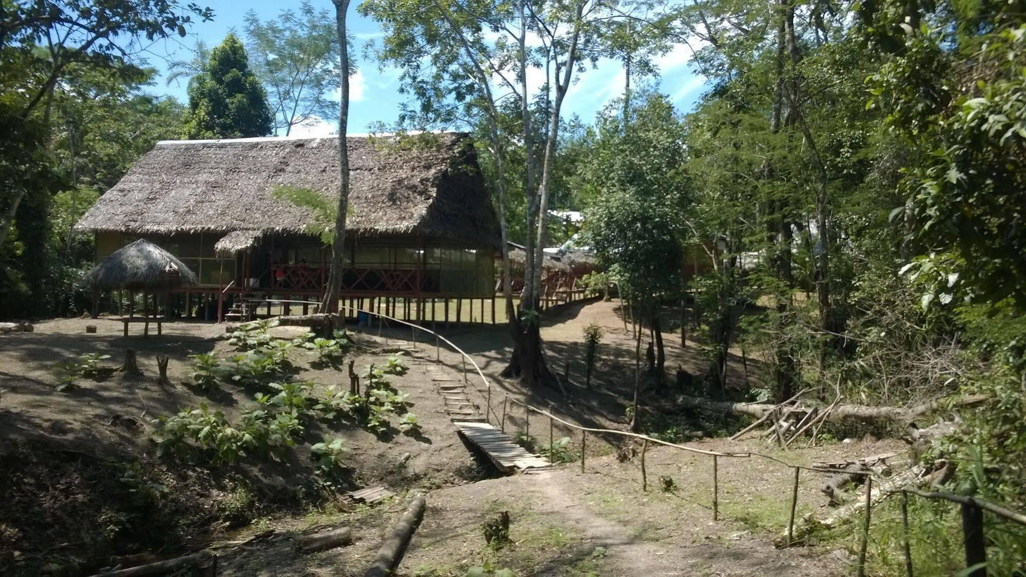 Amazon Queen Lodge Mazán Εξωτερικό φωτογραφία