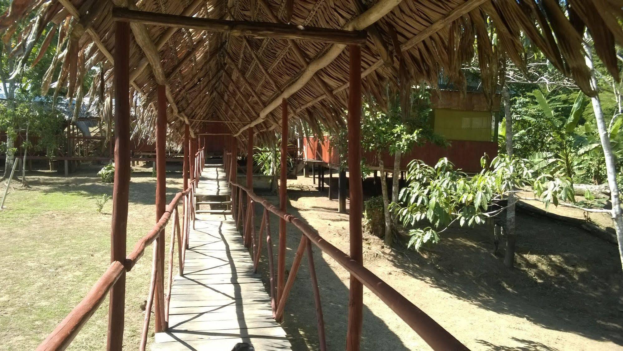 Amazon Queen Lodge Mazán Εξωτερικό φωτογραφία